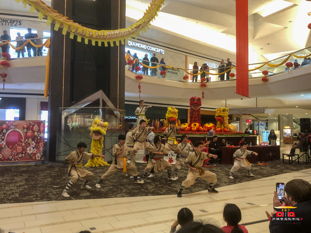 2025 Fair Oaks Lunar New Year performance group picture